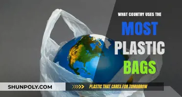 Global Plastic Bag Usage: Which Country Relies Most on Single-Use Bags?