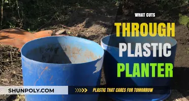 Effective Tools and Techniques to Cut Through Plastic Planters Easily