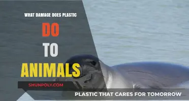 Plastic's Harmful Impact: Animals in Danger