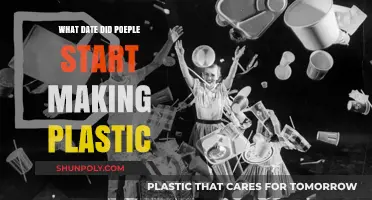 The Emergence of Plastic: A Historical Perspective