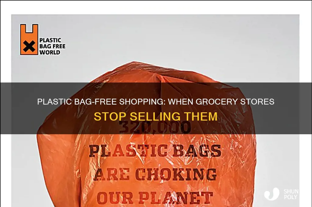 what date do grocery stores not sell plastic bags