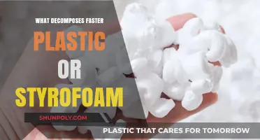 Plastic vs Styrofoam: Which Decomposes Faster?