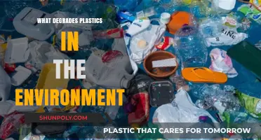 Plastics Degradation: Environmental Factors and Their Impact