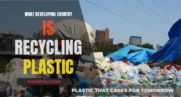 Developing Nations Leading the Way in Plastic Recycling