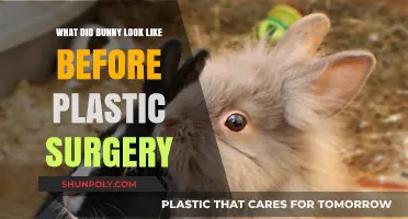 Unveiling Bunny's Pre-Surgery Appearance: A Look Back at Her Natural Beauty