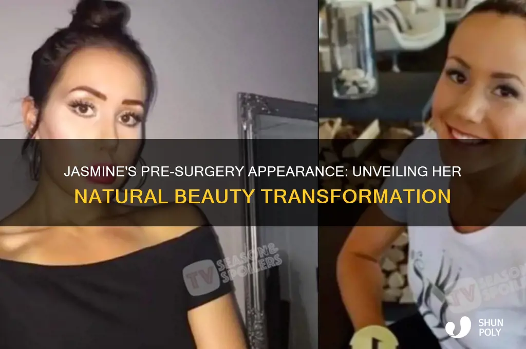 what did jasmine look like before plastic surgery