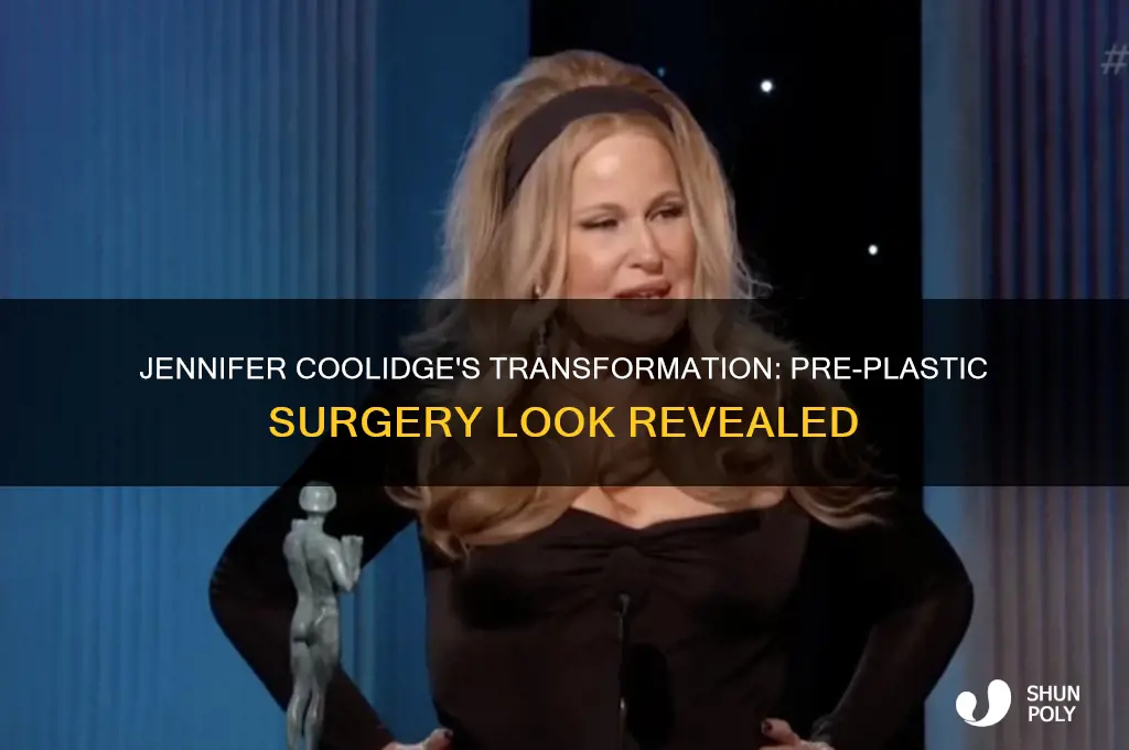 what did jennifer coolidge look like before plastic surgery