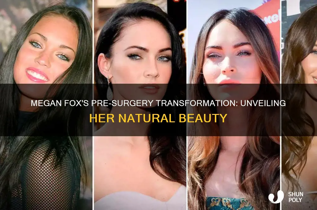 what did megan fox look like before plastic surgery