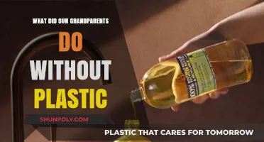 Life Before Plastic: How Grandparents Managed Without It