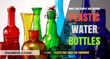Thirsty for History: Pre-Plastic Water Bottle Alternatives Explored