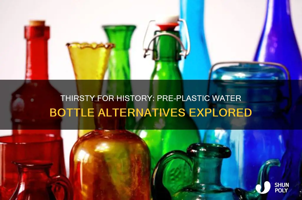 what did people use before plastic water bottles