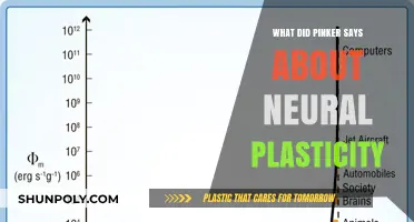 Steven Pinker on Neural Plasticity: Unlocking the Brain's Potential