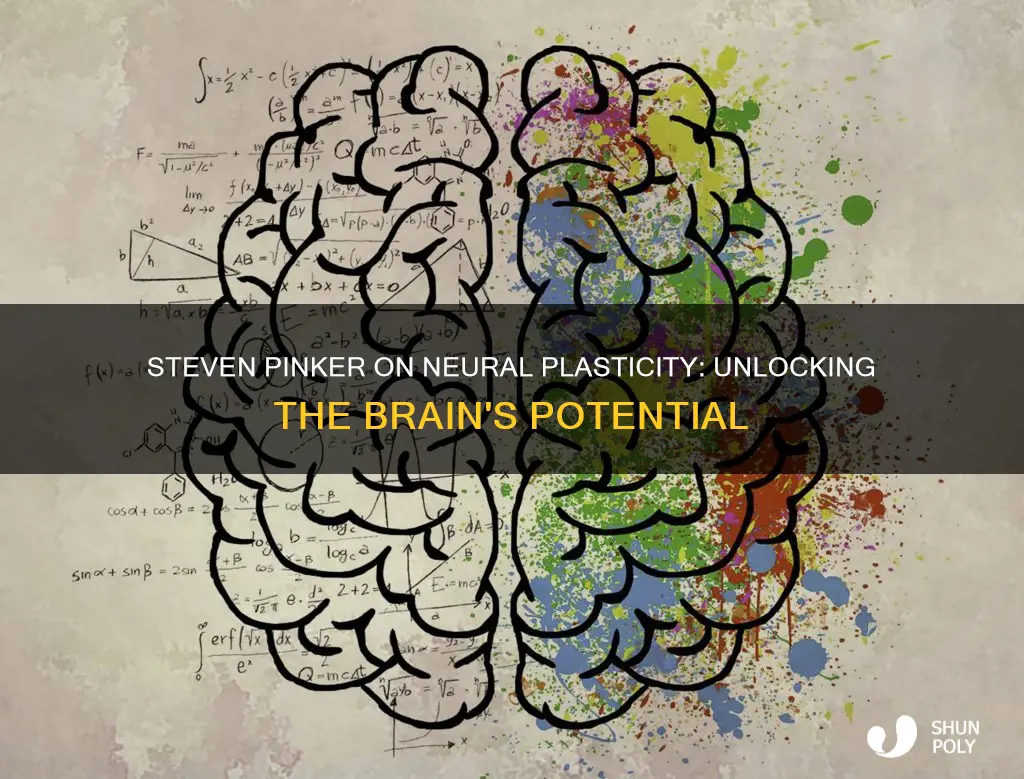 what did pinker says about neural plasticity