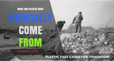 The Surprising Origins of Plastic Bags: A Historical Journey