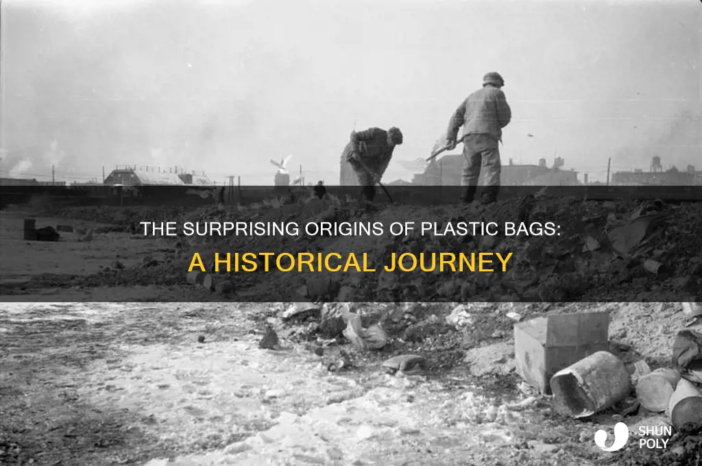 what did plastic bags oringally come from
