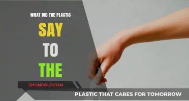 The Plastic's Secret: A Surprising Conversation