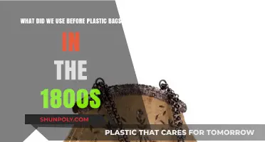 Before Plastic: 1800s Shopping Bags and Sustainable Alternatives