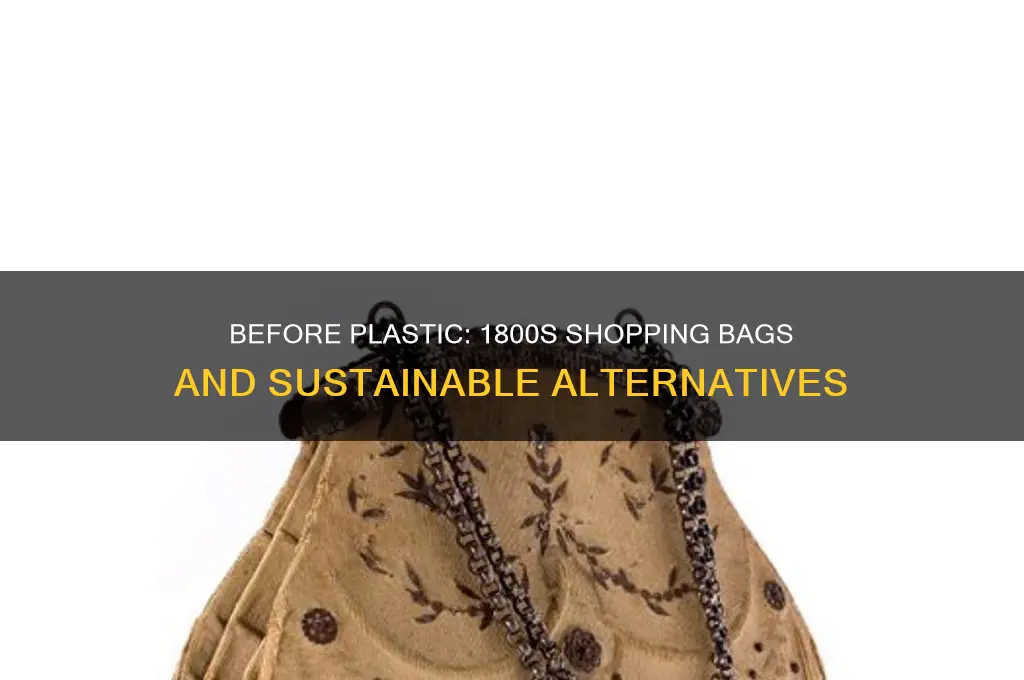 what did we use before plastic bags in the 1800s