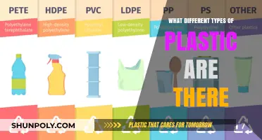 The Many Faces of Plastic: Understanding Different Types