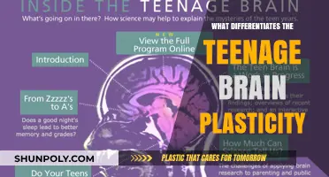 Teenage Brain Plasticity: A Unique Window of Neurological Change