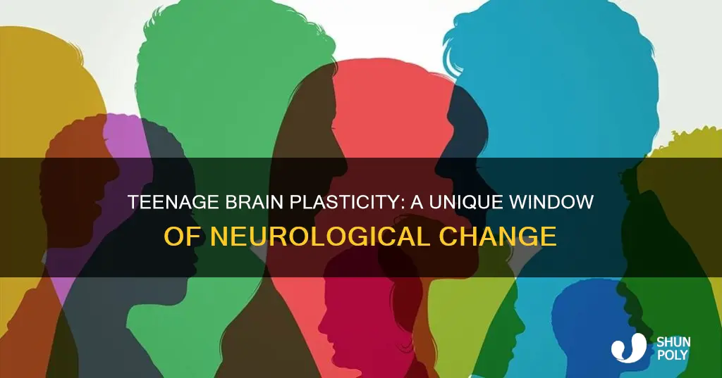 what differentiates the teenage brain plasticity