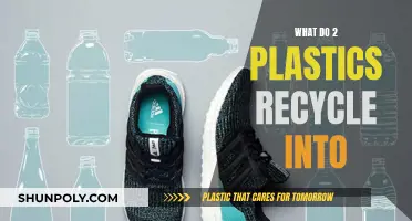 Recycling Plastics: What Are They Transformed Into?