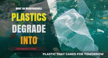 Biodegradable Plastics: What Happens When They Break Down?