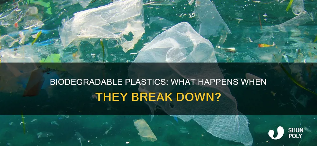 what do biodegradable plastics degrade into