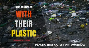 Brazil's Plastic Problem: A Creative Solution