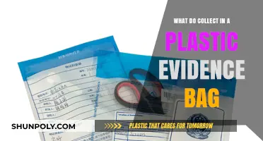 Essential Items to Securely Collect in a Plastic Evidence Bag