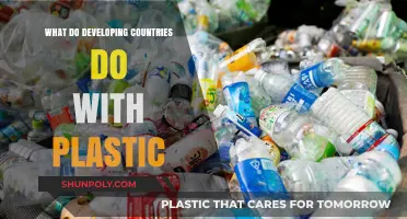 Developing Countries' Plastic Waste Management