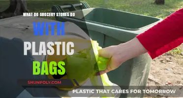 Unveiling the Fate of Plastic Bags in Grocery Stores