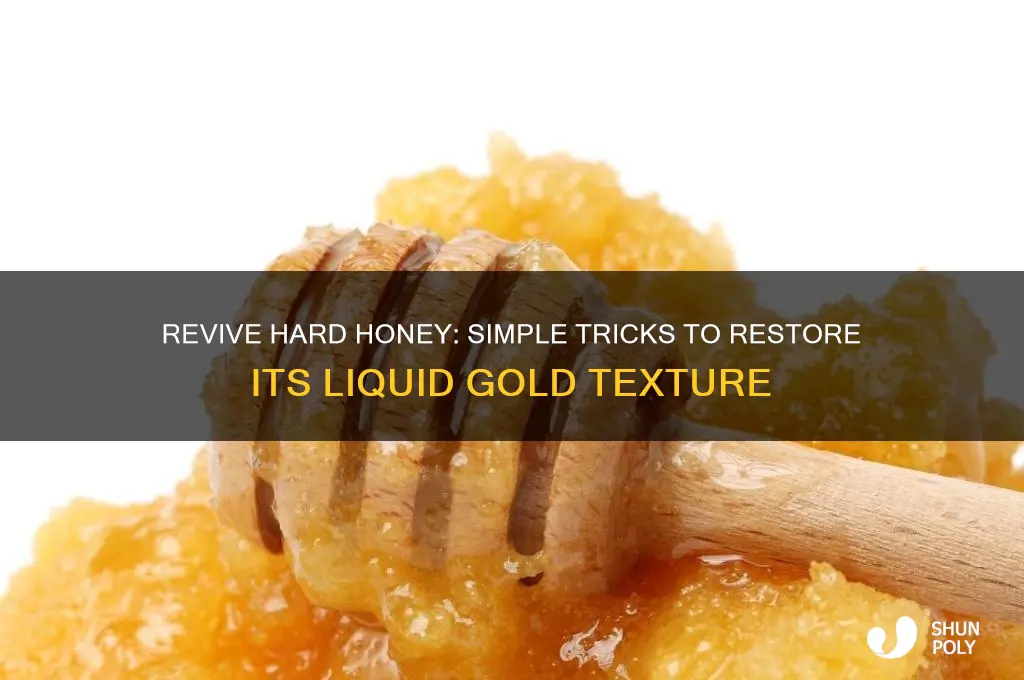what do i do when my honey gets hard plastic