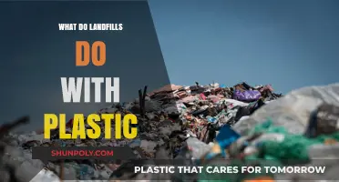 The Dark Truth of Plastic Landfills
