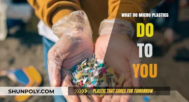 Microplastics: Harmful Impact on Human Health