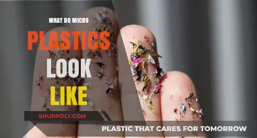 Microscopic Plastics: What Do They Look Like?