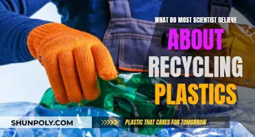 Scientists' Beliefs About Plastic Recycling: Explained