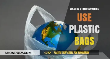 Global Plastic Bag Usage: How Other Countries Handle Single-Use Plastics