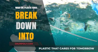 What Do Plastic Bags Break Down Into: Microplastics and Beyond