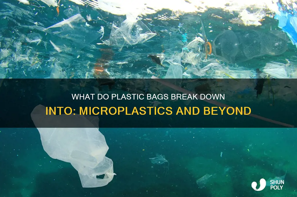 what do plastic bags break down into