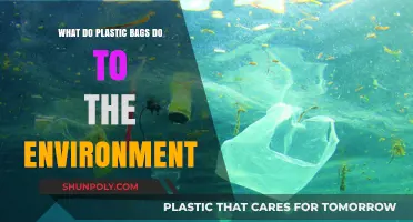 Plastic Bags' Environmental Impact: Pollution, Wildlife Threats, and Sustainability Solutions