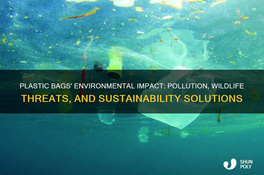 what do plastic bags do to the environment