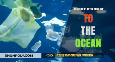 Plastic Bags in the Ocean: Harmful Impacts and Environmental Consequences