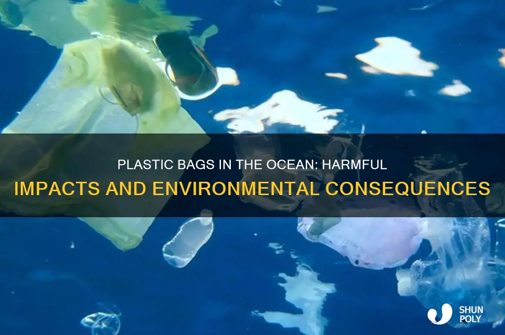 what do plastic bags do to the ocean