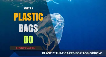 The Environmental Impact of Plastic Bags: Uses, Harms, and Alternatives