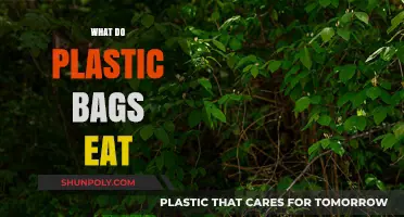 Unveiling the Truth: What Do Plastic Bags Consume in Nature?
