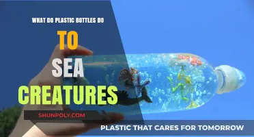 How Plastic Bottles Harm Sea Creatures: A Deadly Ocean Crisis