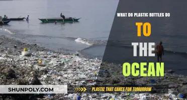 Plastic Bottles in the Ocean: Harmful Impacts and Environmental Consequences