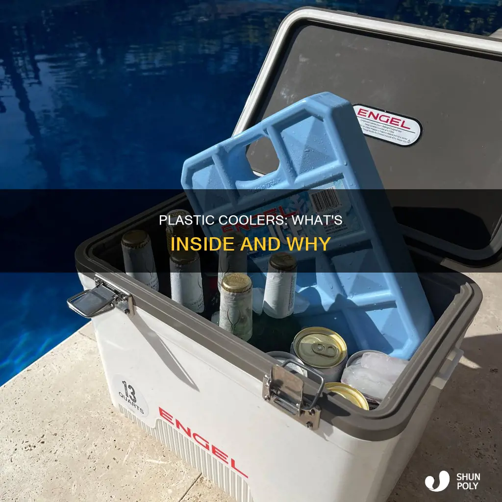 what do plastic coolers have in them