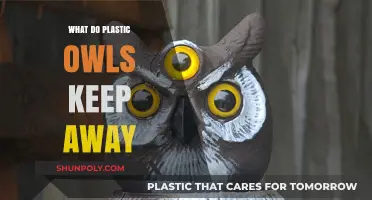 Effective Scarecrow: How Plastic Owls Keep Pests Away
